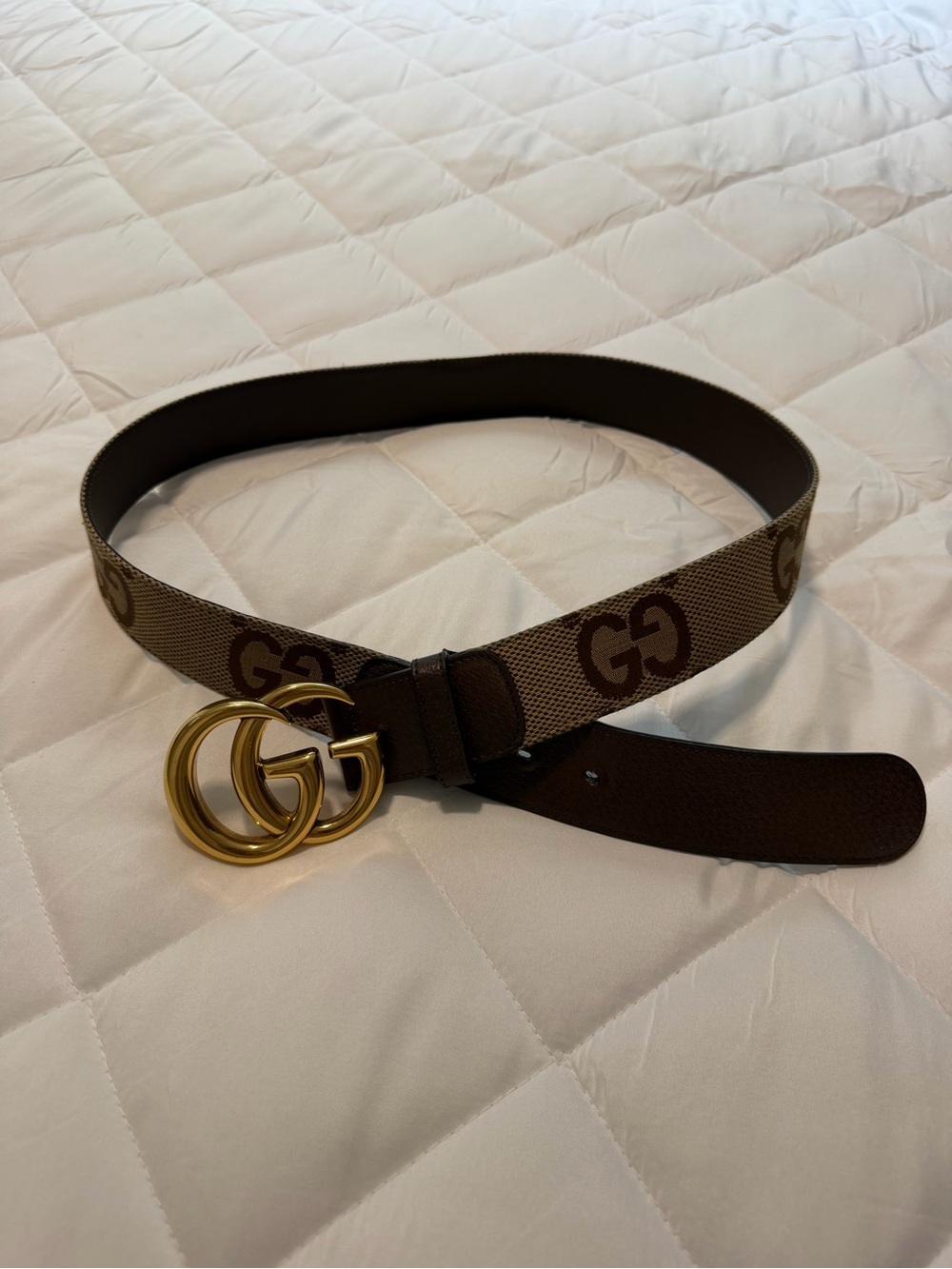Gucci Brown GG Logo Canvas Belt with Gold Double G Buckle